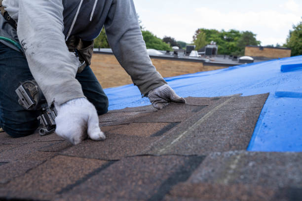 Best Emergency Roof Repair Services  in Harrogate, TN